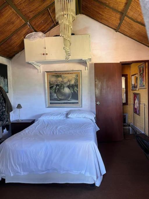 Casa Marys En El Tesoro De La Barra Villa Punta del Este Bagian luar foto